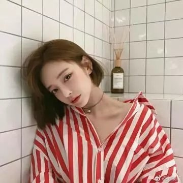 追星星的人第三季