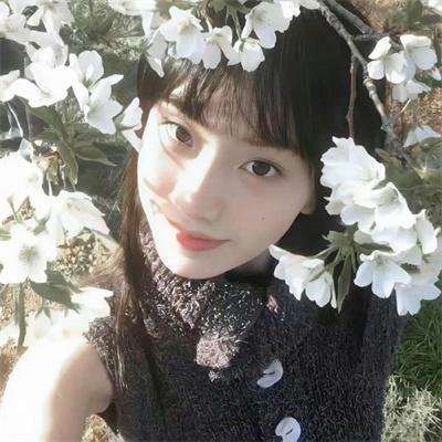 妙警贼探第四季